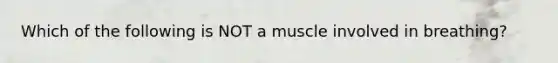 Which of the following is NOT a muscle involved in breathing?