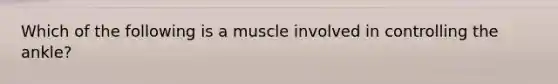 Which of the following is a muscle involved in controlling the ankle?