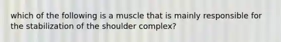 which of the following is a muscle that is mainly responsible for the stabilization of the shoulder complex?