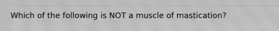 Which of the following is NOT a muscle of mastication?