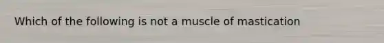 Which of the following is not a muscle of mastication