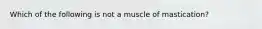 Which of the following is not a muscle of mastication?