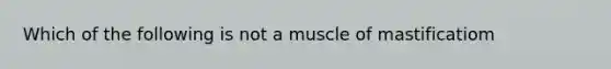 Which of the following is not a muscle of mastificatiom