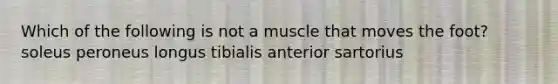 Which of the following is not a muscle that moves the foot? soleus peroneus longus tibialis anterior sartorius