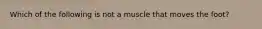 Which of the following is not a muscle that moves the foot?