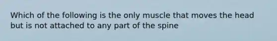 Which of the following is the only muscle that moves the head but is not attached to any part of the spine