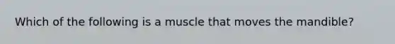 Which of the following is a muscle that moves the mandible?