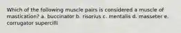 Which of the following muscle pairs is considered a muscle of mastication? a. buccinator b. risorius c. mentalis d. masseter e. corrugator supercilli