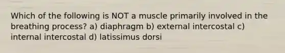 Which of the following is NOT a muscle primarily involved in the breathing process? a) diaphragm b) external intercostal c) internal intercostal d) latissimus dorsi