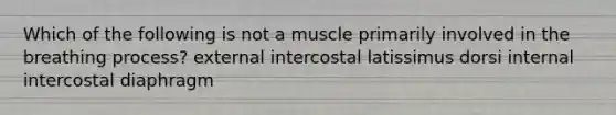 Which of the following is not a muscle primarily involved in the breathing process? external intercostal latissimus dorsi internal intercostal diaphragm