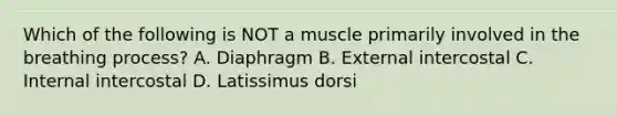 Which of the following is NOT a muscle primarily involved in the breathing process? A. Diaphragm B. External intercostal C. Internal intercostal D. Latissimus dorsi