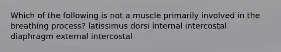 Which of the following is not a muscle primarily involved in the breathing process? latissimus dorsi internal intercostal diaphragm external intercostal