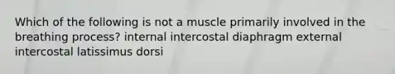 Which of the following is not a muscle primarily involved in the breathing process? internal intercostal diaphragm external intercostal latissimus dorsi