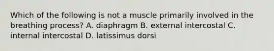 Which of the following is not a muscle primarily involved in the breathing process? A. diaphragm B. external intercostal C. internal intercostal D. latissimus dorsi