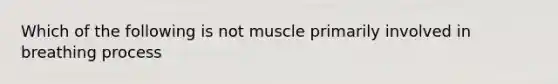 Which of the following is not muscle primarily involved in breathing process