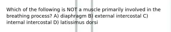 Which of the following is NOT a muscle primarily involved in the breathing process? A) diaphragm B) external intercostal C) internal intercostal D) latissimus dorsi