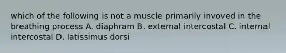 which of the following is not a muscle primarily invoved in the breathing process A. diaphram B. external intercostal C. internal intercostal D. latissimus dorsi