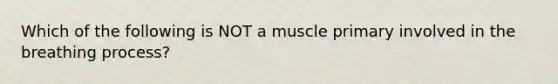 Which of the following is NOT a muscle primary involved in the breathing process?