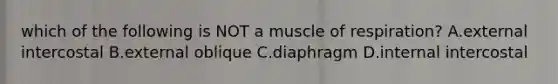 which of the following is NOT a muscle of respiration? A.external intercostal B.external oblique C.diaphragm D.internal intercostal