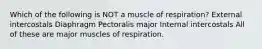 Which of the following is NOT a muscle of respiration? External intercostals Diaphragm Pectoralis major Internal intercostals All of these are major muscles of respiration.