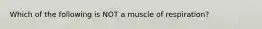 Which of the following is NOT a muscle of respiration?