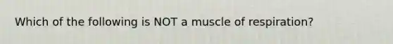 Which of the following is NOT a muscle of respiration?