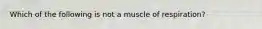 Which of the following is not a muscle of respiration?