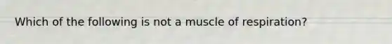 Which of the following is not a muscle of respiration?