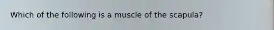 Which of the following is a muscle of the scapula?