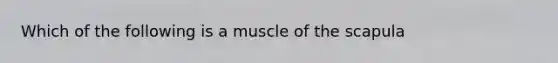 Which of the following is a muscle of the scapula