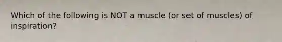 Which of the following is NOT a muscle (or set of muscles) of inspiration?