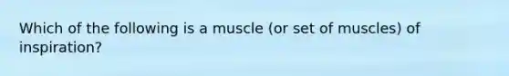 Which of the following is a muscle (or set of muscles) of inspiration?