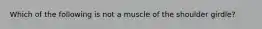 Which of the following is not a muscle of the shoulder girdle?