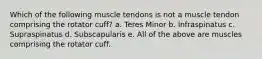 Which of the following muscle tendons is not a muscle tendon comprising the rotator cuff? a. Teres Minor b. Infraspinatus c. Supraspinatus d. Subscapularis e. All of the above are muscles comprising the rotator cuff.