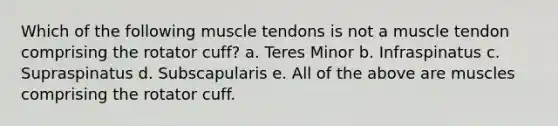 Which of the following muscle tendons is not a muscle tendon comprising the rotator cuff? a. Teres Minor b. Infraspinatus c. Supraspinatus d. Subscapularis e. All of the above are muscles comprising the rotator cuff.