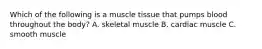 Which of the following is a muscle tissue that pumps blood throughout the body? A. skeletal muscle B. cardiac muscle C. smooth muscle