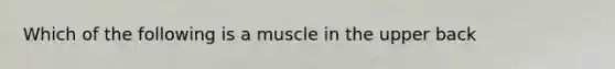 Which of the following is a muscle in the upper back