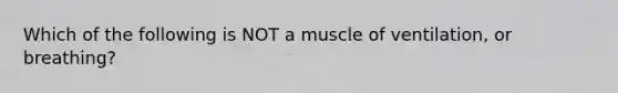 Which of the following is NOT a muscle of ventilation, or breathing?