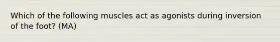 Which of the following muscles act as agonists during inversion of the foot? (MA)