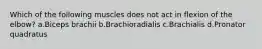 Which of the following muscles does not act in flexion of the elbow? a.Biceps brachii b.Brachioradialis c.Brachialis d.Pronator quadratus