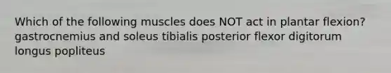 Which of the following muscles does NOT act in plantar flexion? gastrocnemius and soleus tibialis posterior flexor digitorum longus popliteus