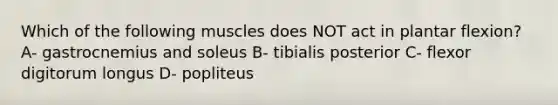 Which of the following muscles does NOT act in plantar flexion? A- gastrocnemius and soleus B- tibialis posterior C- flexor digitorum longus D- popliteus