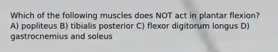 Which of the following muscles does NOT act in plantar flexion? A) popliteus B) tibialis posterior C) flexor digitorum longus D) gastrocnemius and soleus