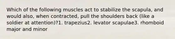 Which of the following muscles act to stabilize the scapula, and would also, when contracted, pull the shoulders back (like a soldier at attention)?1. trapezius2. levator scapulae3. rhomboid major and minor