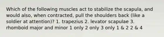 Which of the following muscles act to stabilize the scapula, and would also, when contracted, pull the shoulders back (like a soldier at attention)? 1. trapezius 2. levator scapulae 3. rhomboid major and minor 1 only 2 only 3 only 1 & 2 2 & 4