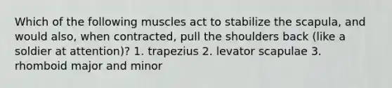 Which of the following muscles act to stabilize the scapula, and would also, when contracted, pull the shoulders back (like a soldier at attention)? 1. trapezius 2. levator scapulae 3. rhomboid major and minor