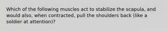 Which of the following muscles act to stabilize the scapula, and would also, when contracted, pull the shoulders back (like a soldier at attention)?