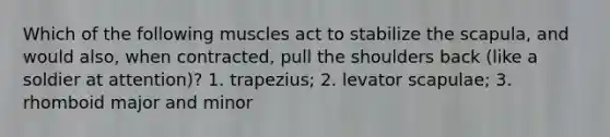 Which of the following muscles act to stabilize the scapula, and would also, when contracted, pull the shoulders back (like a soldier at attention)? 1. trapezius; 2. levator scapulae; 3. rhomboid major and minor