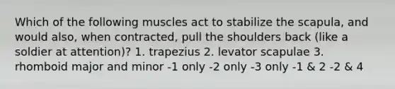 Which of the following muscles act to stabilize the scapula, and would also, when contracted, pull the shoulders back (like a soldier at attention)? 1. trapezius 2. levator scapulae 3. rhomboid major and minor -1 only -2 only -3 only -1 & 2 -2 & 4