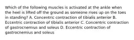 Which of the following muscles is activated at the ankle when the heel is lifted off the ground as someone rises up on the toes in standing? A. Concentric contraction of tibialis anterior B. Eccentric contraction of tibialis anterior C. Concentric contraction of gastrocnemius and soleus D. Eccentric contraction of gastrocnemius and soleus